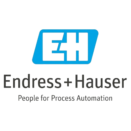Endress + Hauser